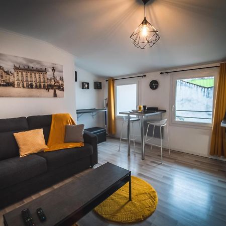Le P'Tit Jeanne D'Arc Logements Insolites 낭시 외부 사진