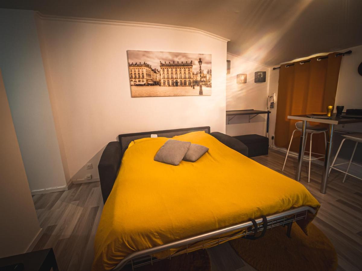 Le P'Tit Jeanne D'Arc Logements Insolites 낭시 외부 사진